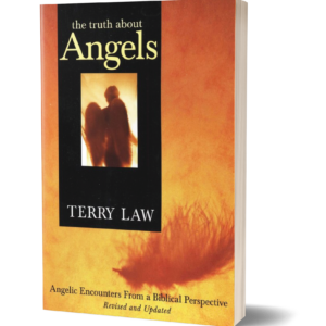 The Truth About Angels - Terry Law